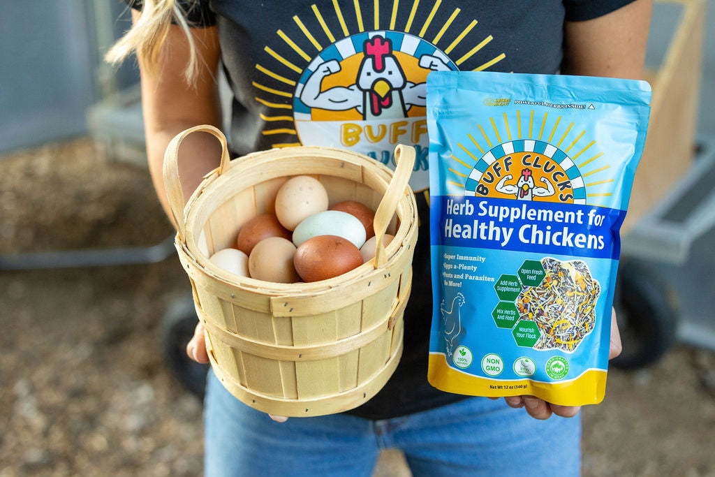 Herb Supplement For Backyard Chickens