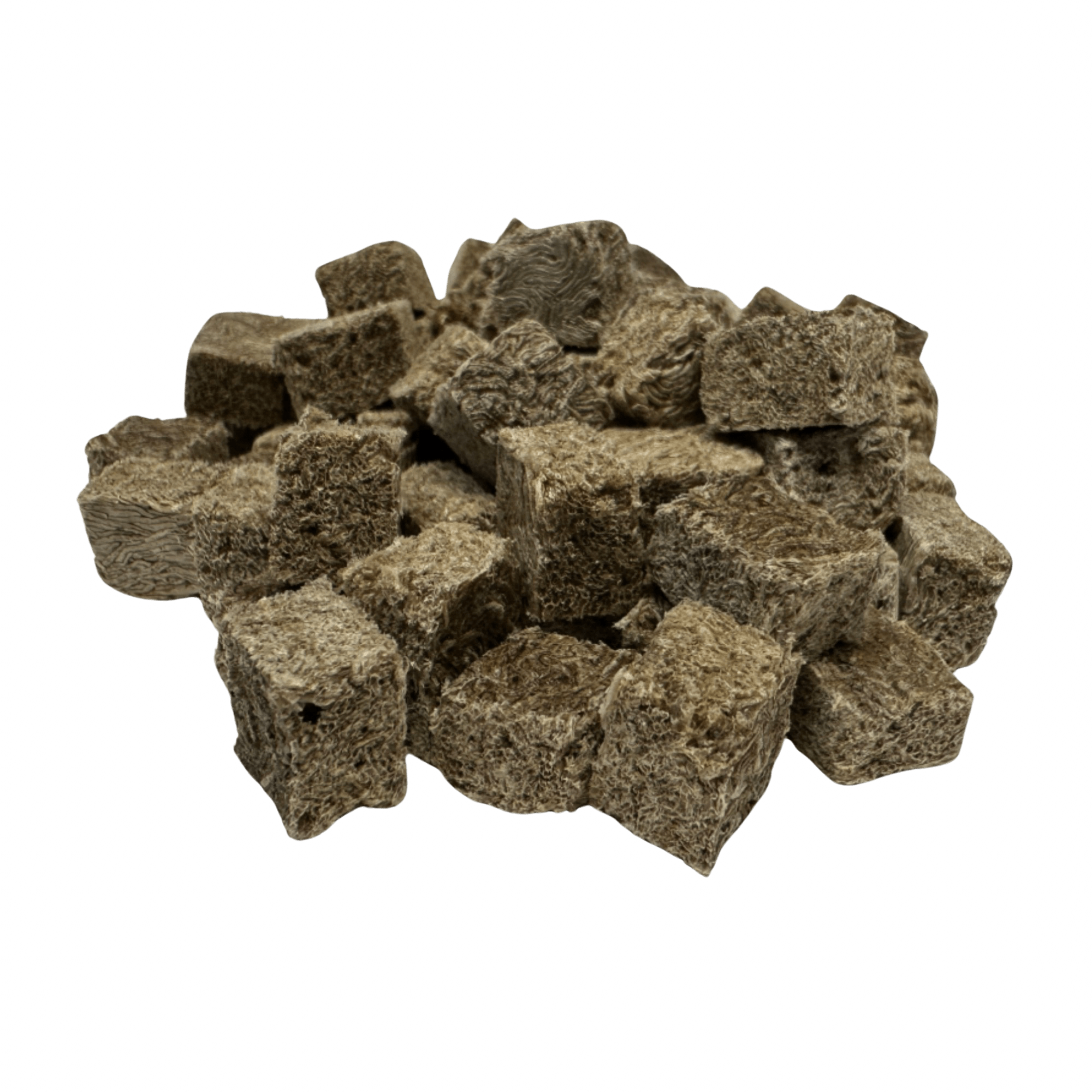 Premium Freeze Dried Blackworms - Power Boost