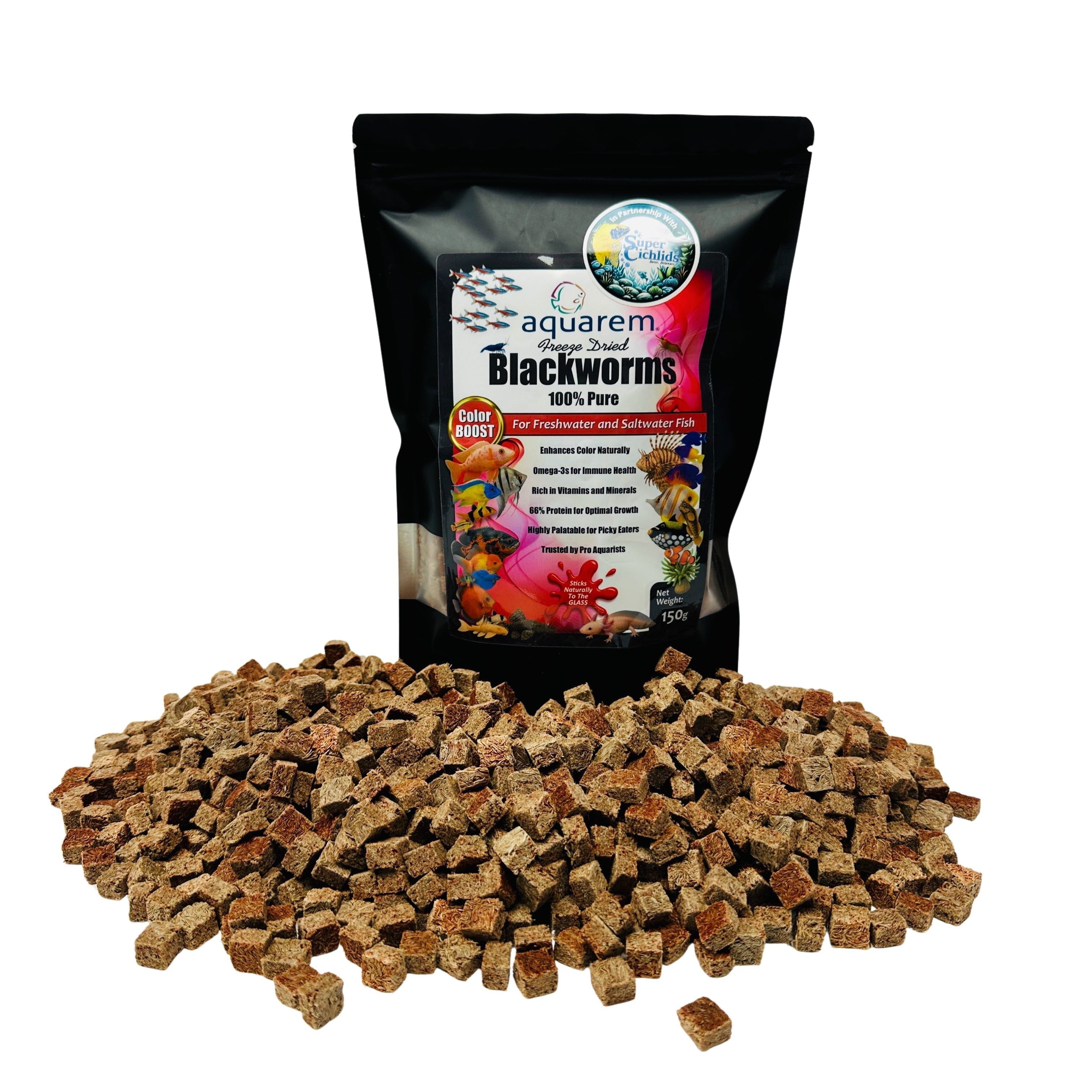 Premium Freeze Dried Blackworms - Color Boost